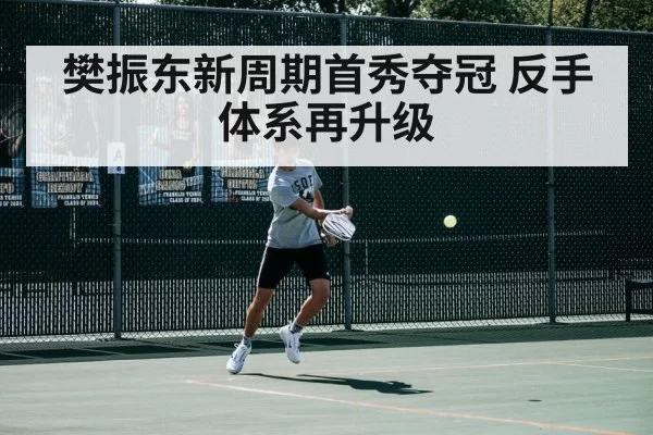 樊振东新周期首秀夺冠 反手体系再升级