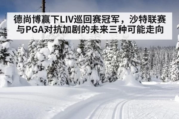 德尚博赢下LIV巡回赛冠军，沙特联赛与PGA对抗加剧的未来三种可能走向